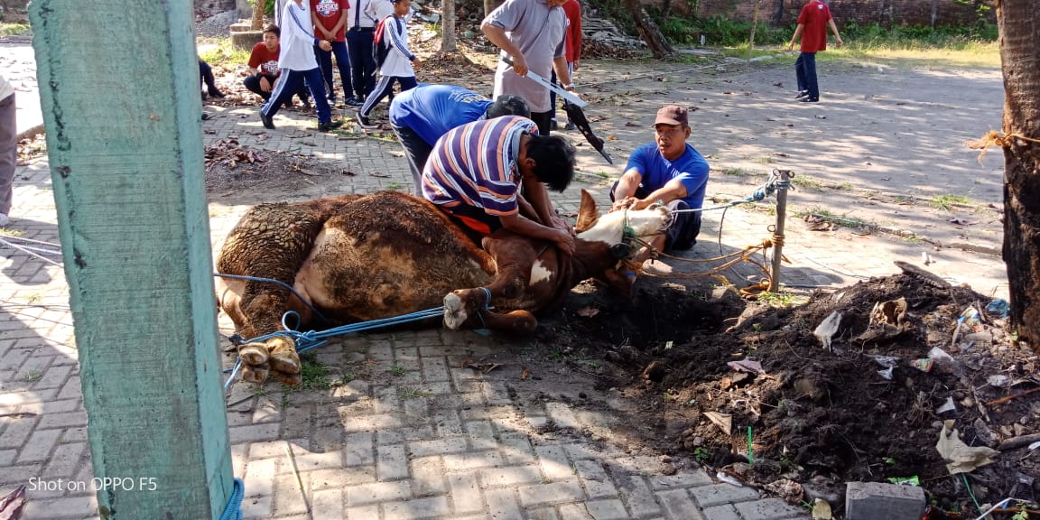 WhatsApp Image 2018 08 23 at 09.57.00